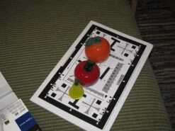 Canon® Canon PowerShot SX110 IS 9MP Digicam W/ 4GB SD Card (serial 855610285)(Canon Powershot Sx110 Is 9mp Digicam W 4gb Sd Card Serial 855610285) -Vintage Camera Store IMG 0016