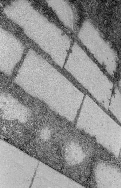 Minolta SRT 200 35mm SLR W/ Rokkor 50mm F1.7 Lens + Ever-ready Case (serial 7527170)(Minolta Srt 200 35mm Slr W Rokkor 50mm F1 7 Lens Serial 7527170) -Vintage Camera Store Minolta SRT 200 35mm SLR camera serial 7527170 202304263947