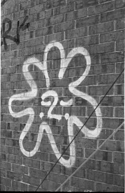 Nikon FM2n 35mm Film SLR Camera W/ Nikkor 50mm F1.8 Lens (serial 8703699)(Nikon Fm2n 35mm Film Slr Camera W Nikkor 50mm F1 8 Lens Serial 8703699) -Vintage Camera Store Nikon FM2N 35mm film SLR camera serial8703699 20250528 11