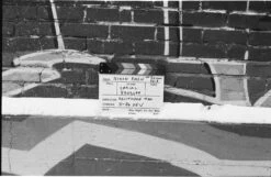 Nikon FM2n 35mm Film SLR Camera W/ Nikkor 50mm F1.8 Lens (serial 8703699)(Nikon Fm2n 35mm Film Slr Camera W Nikkor 50mm F1 8 Lens Serial 8703699) -Vintage Camera Store Nikon FM2N 35mm film SLR camera serial8703699 20250528 14