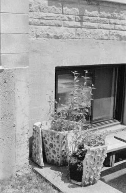 Canon® Canon AE-1 35mm SLR W/ Canon FD 50mm F1.4 S.S.C. Lens + Original Manual (serial 291207)(Canon Ae 1 35mm Slr W Canon Fd Ssc 50mm F1 4 Lens Original Manual Serial 291207) -Vintage Camera Store canonAE1 kentmere400 filmtest20240904 2346