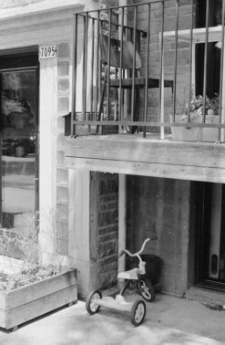 Canon® Canon AE-1 35mm SLR W/ Canon FD 50mm F1.4 S.S.C. Lens + Original Manual (serial 291207)(Canon Ae 1 35mm Slr W Canon Fd Ssc 50mm F1 4 Lens Original Manual Serial 291207) -Vintage Camera Store canonAE1 kentmere400 filmtest20240904 2347