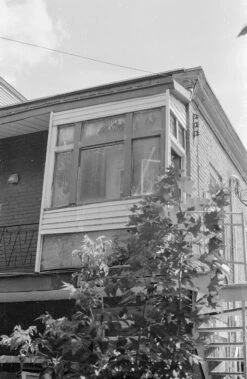 Canon® Canon AE-1 35mm SLR W/ Canon FD 50mm F1.4 S.S.C. Lens + Original Manual (serial 291207)(Canon Ae 1 35mm Slr W Canon Fd Ssc 50mm F1 4 Lens Original Manual Serial 291207) -Vintage Camera Store canonAE1 kentmere400 filmtest20240904 2349