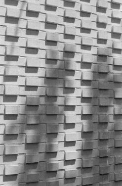 Canon® Canon AE-1 35mm SLR W/ Canon FD 50mm F1.4 S.S.C. Lens + Original Manual (serial 291207)(Canon Ae 1 35mm Slr W Canon Fd Ssc 50mm F1 4 Lens Original Manual Serial 291207) -Vintage Camera Store canonAE1 kentmere400 filmtest20240904 2350