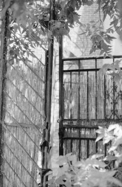 Canon® Canon AE-1 35mm SLR W/ Canon FD 50mm F1.4 S.S.C. Lens + Original Manual (serial 291207)(Canon Ae 1 35mm Slr W Canon Fd Ssc 50mm F1 4 Lens Original Manual Serial 291207) -Vintage Camera Store canonAE1 kentmere400 filmtest20240904 2352