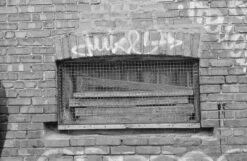 Canon® Canon AE-1 35mm SLR W/ Canon FD 50mm F1.8 Lens + Speedlite 188A Flash + Original Manual (serial 2388361)(Canon Ae 1 35mm Slr W Canon Fd 50mm F1 8 Lens Speedlite 188a Flash Original Manual Serial 2388361) -Vintage Camera Store canon AE 1 35mm film SLR camera serial 2388361 20240109 506