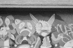 Canon® Canon AE-1 35mm SLR W/ Canon FD 50mm F1.8 Lens + Speedlite 188A Flash + Original Manual (serial 2388361)(Canon Ae 1 35mm Slr W Canon Fd 50mm F1 8 Lens Speedlite 188a Flash Original Manual Serial 2388361) -Vintage Camera Store canon AE 1 35mm film SLR camera serial 2388361 20240109 507