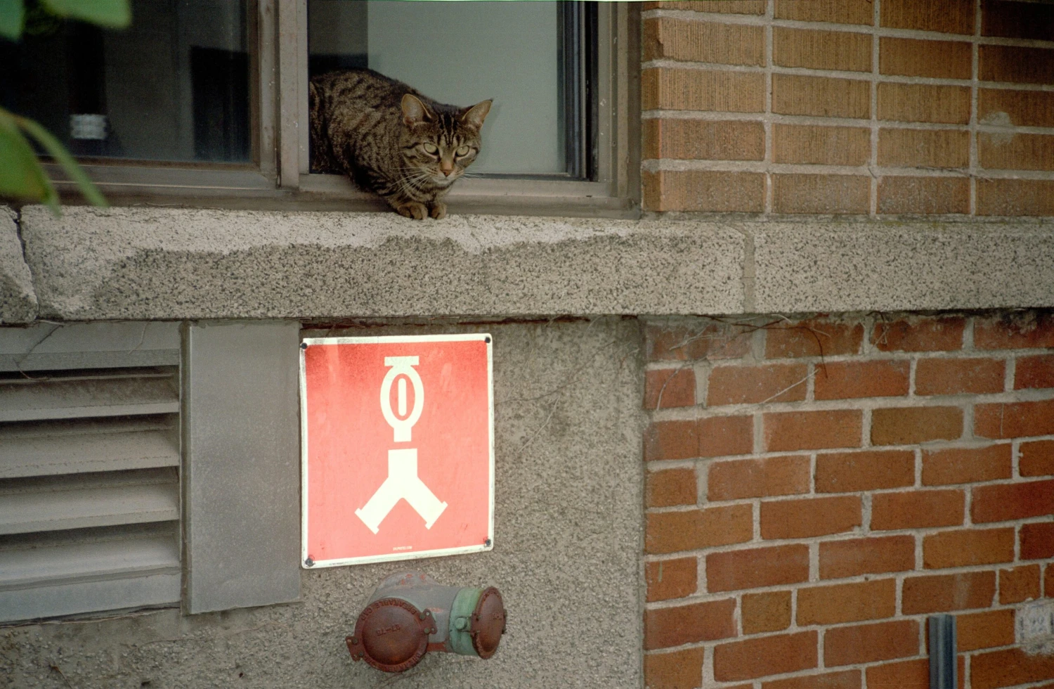 Canon® Canon Sure Shot Tele Max 35mm Film Camera W/ Case (serial 5559377)(Canon Sure Shot Tele Max 35mm Film Camera W Case Serial 5559377) - Image 10