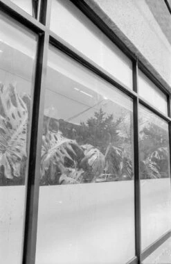 Canon® Canon T70 35mm SLR With FD 28mm F2.8 Lens (serial 1989948) | Film🎞tested(Canon T70 35mm Slr With Fd 28mm F2 8 Lens Serial 1989948 Film🎞tested) -Vintage Camera Store canon t70 35mm slr camera serial 198994820250117