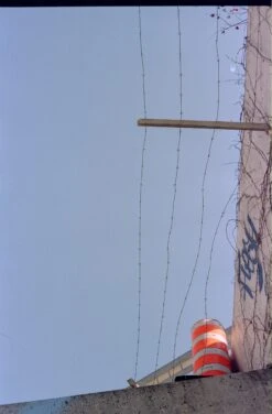 Konica FT-1 35mm Film SLR Camera W/Hexanon AR 50mm F1.8 Lens (serial 519878) | Film🎞tested(Konica Ft 1 35mm Film Slr Camera W Hexanon Ar 50mm F1 8 Lens Serial 519878 Film🎞tested Copy) -Vintage Camera Store konica FT1 filmtest20250321 1