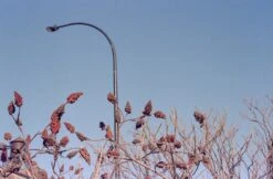 Konica FT-1 35mm Film SLR Camera W/Hexanon AR 50mm F1.8 Lens (serial 519878) | Film🎞tested(Konica Ft 1 35mm Film Slr Camera W Hexanon Ar 50mm F1 8 Lens Serial 519878 Film🎞tested Copy) -Vintage Camera Store konica FT1 filmtest20250321 7