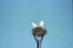 Konica Z-up 140 Super 35mm Camera W/ Case (serial 2097499) | Film🎞tested(Konica Z Up 140 Super 35mm Camera W Case Serial 2097499 Film🎞tested) -Vintage Camera Store konica zup140super 35mm film pns camera serial 2097499 20241201 12