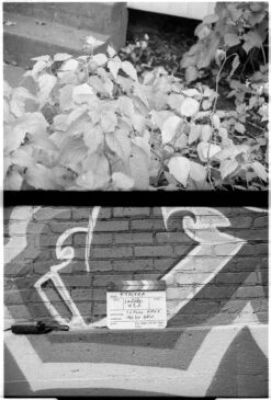 Kyocera/Yashica Samurai X3.0 Half-frame 35mm SLR W/ Case(Kyocera Yashica Samurai X3 0 Half Frame 35mm Slr W Case) -Vintage Camera Store kyocera samurai filmtest 20211130 579