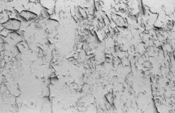 Minolta Maxxum 5 35mm SLR W/ 50mm F1.7 Lens + Manuals + Original Box(Minolta Maxxum 5 35mm Slr W 50mm F1 7 Lens Manuals Original Box) -Vintage Camera Store maxxum 5202304294025