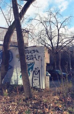 Minolta Maxxum 7000 35mm Film SLR With 50mm F1.7 Lens (serial 15033827) | Film🎞tested(Minolta Maxxum 7000 35mm Film Slr With 24mm F2 8 Lens Serial 15033827) -Vintage Camera Store minolta maxxum7000 35mm film pns camera serial 15033827 20241208 12