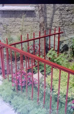 Nikon N90S 35mm Film SLR W/ AF Nikkor 50mm F1.8 Lens (serial 2232106) | Film🎞tested(Nikon N90s 35mm Film Slr W Af Nikkor 50mm F1 8 Lens Serial 2232106) -Vintage Camera Store nikon N90S 35mm film slr camera serial 2232106 20250101 13