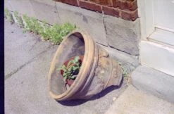 Nikon N90S 35mm Film SLR W/ AF Nikkor 50mm F1.8 Lens (serial 2232106) | Film🎞tested(Nikon N90s 35mm Film Slr W Af Nikkor 50mm F1 8 Lens Serial 2232106) -Vintage Camera Store nikon N90S 35mm film slr camera serial 2232106 20250101 14