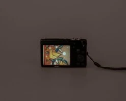 Nikon Coolpix S3100 14MP Digicam W/ 8GB SD Card + Battery + Charger (yellow-green)(Nikon Coolpix S3100 14mp Digicam W 8gb Sd Card Battery Charger Yellow Green) -Vintage Camera Store nikon coolpix s3100 lemonlime 14megapixel digicam 20240812 2307