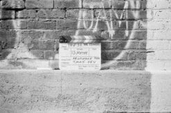 Olympus Trip 35 35mm Camera(Olympus Trip 35 35mm Camera) -Vintage Camera Store oly trip35 1 5m