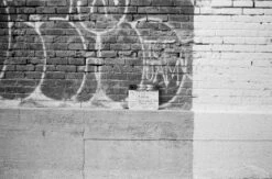 Olympus Trip 35 35mm Camera(Olympus Trip 35 35mm Camera) -Vintage Camera Store oly trip35 3m