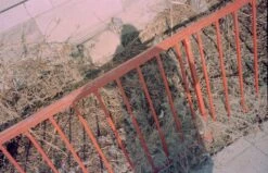 Olympus ∞ Stylus Zoom 140 Deluxe35mm Film Camera (serial 5625195) | Film🎞tested(Olympus Stylus Zoom 140 Deluxe 35mm Film Camera Serial 5625195) -Vintage Camera Store olympus infinity stylus zoom 140 35mm film pns camera serial 5625195 20241130 14