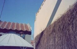 Olympus ∞ Stylus Zoom 140 Deluxe35mm Film Camera (serial 5625195) | Film🎞tested(Olympus Stylus Zoom 140 Deluxe 35mm Film Camera Serial 5625195) -Vintage Camera Store olympus infinity stylus zoom 140 35mm film pns camera serial 5625195 20241130 16