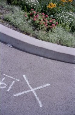 Olympus Trip 35 35mm Camera (serial 3023805)(Olympus Trip 35 35mm Camera Serial 3023805) -Vintage Camera Store olympus trip 35 35mm compact film camera Serial 3023805 202308185049