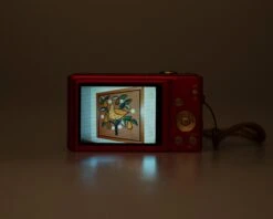 Panasonic Lumix DMC-FH25 16 MP Digicam W/ Charger + Battery + 8 GB SD Card (serial WN1SB001309)(Panasonic Lumix Dmc Fh25 16 Mp Digicam W Charger Battery 8 Gb Sd Card Serial Wn1sb001309) -Vintage Camera Store panasonic lumix dmc fh25 digital camera serial WN1SB001309 20241212