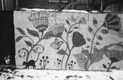 Pentax PC35-AF 35mm Camera (serial 3582222) | Film🎞tested(Pentax Pc35 Af 35mm Camera Serial 3582222 Film🎞tested) -Vintage Camera Store pentax pc35AF 35mm pns camera serial 3582222 20250520 14