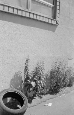 Ricoh AF-5 35mm Camera W/ Case (serial 77168749) | Film🎞tested(Ricoh Af 5 35mm Camera Serial 77168749) -Vintage Camera Store ricoh AF 5 35mm film pns camera serial 77168749 20240717 1751