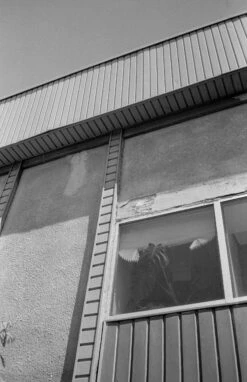 Ricoh AF-5 35mm Camera W/ Case (serial 77168749) | Film🎞tested(Ricoh Af 5 35mm Camera Serial 77168749) -Vintage Camera Store ricoh AF 5 35mm film pns camera serial 77168749 20240717 1753