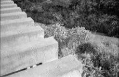 Ricoh TF-900 35mm Film Camera (serial 13232320) | Film🎞tested(Ricoh Tf 900 35mm Film Camera Serial 13232320) -Vintage Camera Store ricoh tf 900 35mm film pns camera serial 13232320 20241203 4