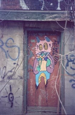 Samsung Maxima 45AF 35mm Film Camera W/ Case (serial 98300252) | Film🎞tested(Samsung Maxima 45af 35mm Film Camera W Case Serial 98300252 Film🎞tested) -Vintage Camera Store samsung maxima45AF 35mm film pns camera serial 98300252 20241203 9