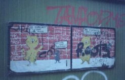 Yashica FX-3 35mm SLR W/ 50mm F1.9 Lens (serial 287813)(Yashica Fx 3 35mm Slr W 50mm F1 9 Lens Serial 287813) -Vintage Camera Store yashica FX 3 35mm film SLR camera serial 287813 20231212 273