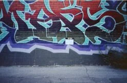 Yashica L-AF 35mm Film Camera (serial 5129032)(Yashica L Af 35mm Film Camera Serial 5129032) -Vintage Camera Store yashica L AF 35mm point and shoot film Camera film tested serial 5129032 202310305691