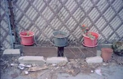 Yashica Auto Focus S 35mm Point-and-shoot Camera (serial 5036527) | Film🎞tested(Yashica Auto Focus S 35mm Point And Shoot Camera Serial 5036527 Film🎞tested) -Vintage Camera Store yashica auto focus s 35mm film pns camera serial 5036527 20241210 10