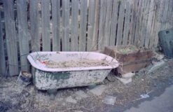 Yashica Auto Focus S 35mm Point-and-shoot Camera (serial 5036527) | Film🎞tested(Yashica Auto Focus S 35mm Point And Shoot Camera Serial 5036527 Film🎞tested) -Vintage Camera Store yashica auto focus s 35mm film pns camera serial 5036527 20241210 12